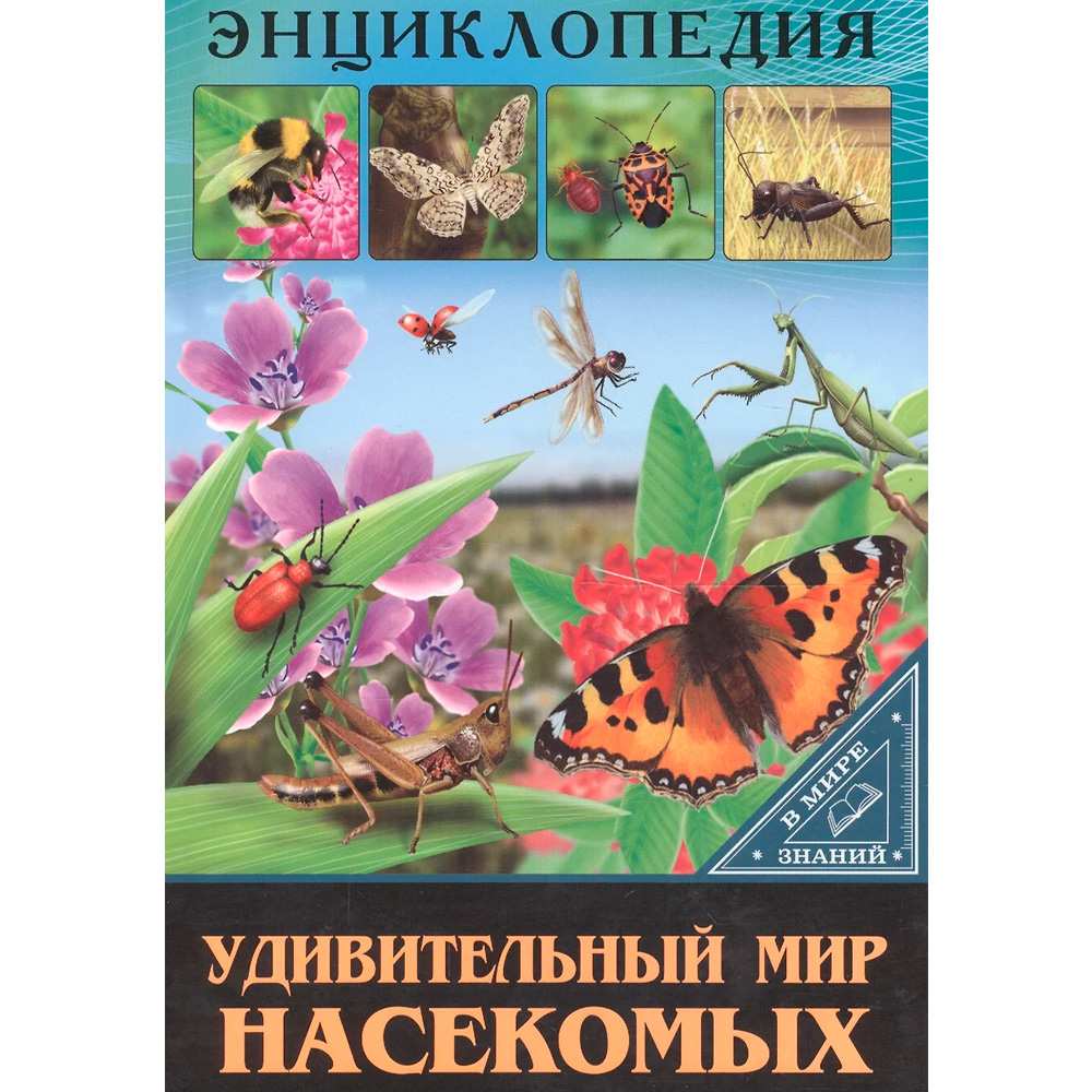 Книга Энциклопедия В Мире знаний 978-5-378-27552-6 Удивительный мир насекомых